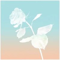 Rose Gold Eau de Parfum pour femme