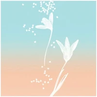 Rose Gold Eau de Parfum pour femme