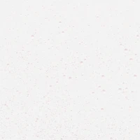 Clean Fresh Skincare Priming Glow Mist™, With Cactus Water, Rose Water and Vitamin C for 8HR Hydration, 100% Vegan & Cruelty-Free