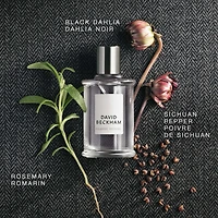 Classic Homme Eau de Toilette For Him - Men's Fragrance, Spicy Scent