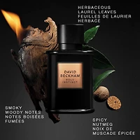 Bold Instinct Eau de Parfum for Men, Woody Aromatic Perfume, Sophisticated Scent, Striking Opaque Black Bottle