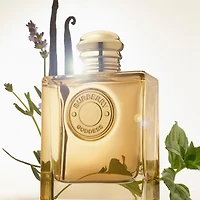 Goddess Eau de Parfum Intense for Women Refill