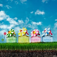 Daisy Murakami Blue Limited-Edition Eau de Parfum for Women