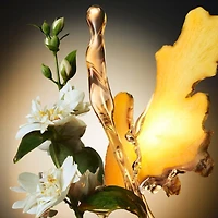 The Scent Eau de Toilette for Him