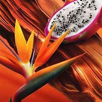 Bali Paradise Eau de Toilette pour femme