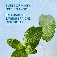 Clean Fresh Yummy Gloss, Brillant repulpant, à lèvres, Végétalien, Repulpant et volumateur, Facile appliquer, Saveur menthe,
