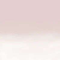 Salon Effects® Perfect Manicure™ press-on nails, longwearing, includes 24 premium fake nail, adhesive tabs and nail glue