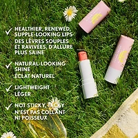 Clean Fresh Canada, 20 Orange You a Cutie, Tinted Lip Balm