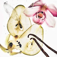 Nude Vanilla Unisex Hair & Body Perfume Mist