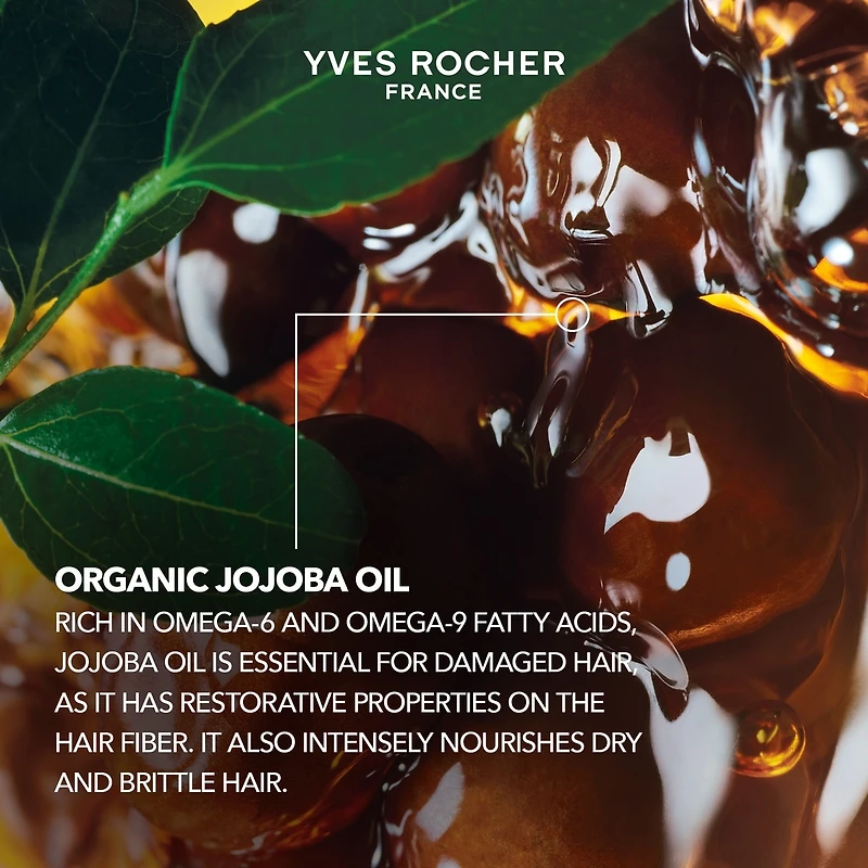 Rituel Capillaire - Réparation