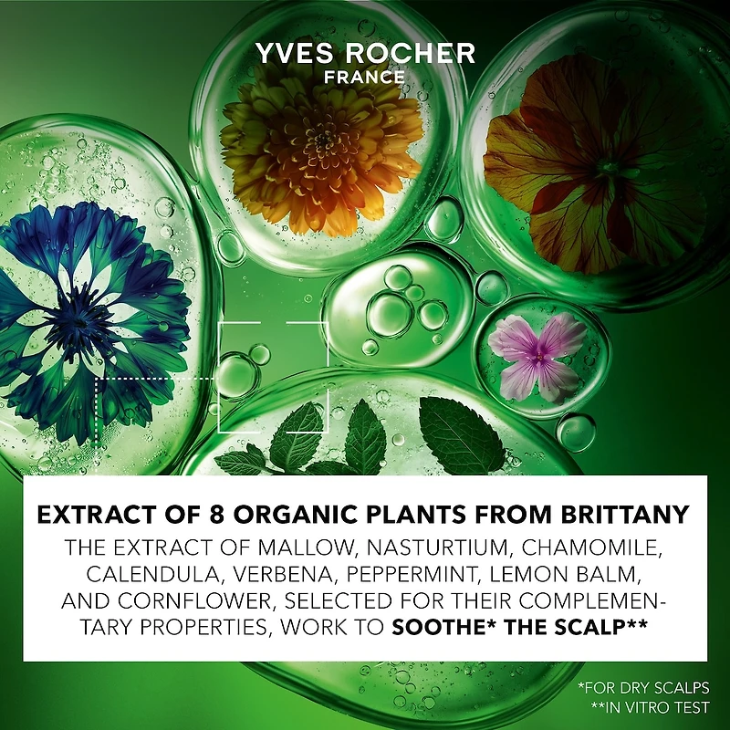 Rituel Capillaire - Réparation