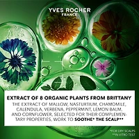 Rituel Capillaire - Réparation