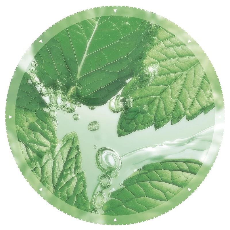 Pure Menthe Nettoyant exfoliant anti-imperfections