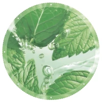 Pure Menthe Nettoyant exfoliant anti-imperfections