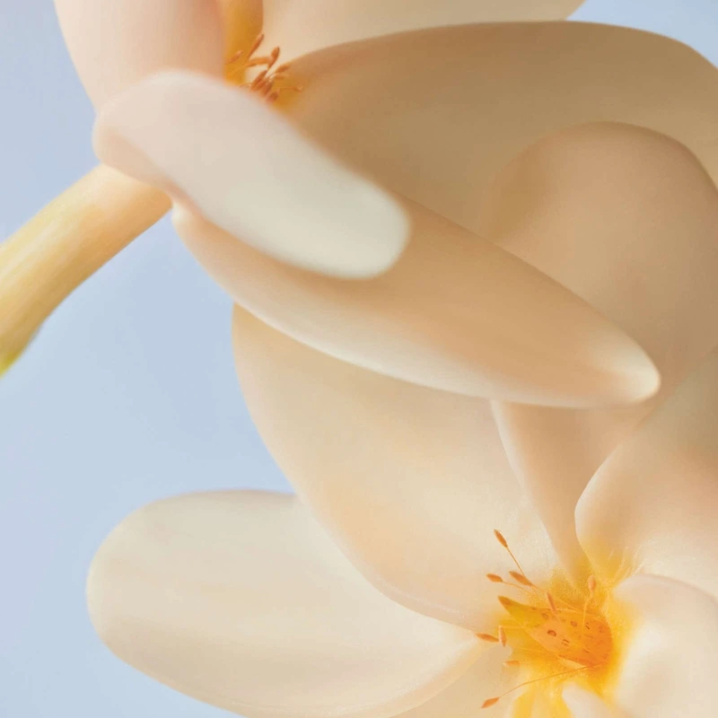 Vague d'Été Eau de Toilette - 100ml