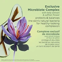 Purifying Toning Lotion Eco Refill