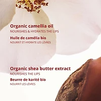 Joli Rouge Velvet Refill