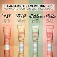 Purifying Gentle Foaming Cleanser