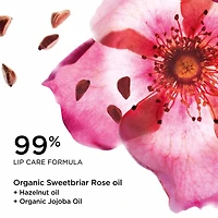 Lip Comfort Oil - Embrace Love Collection