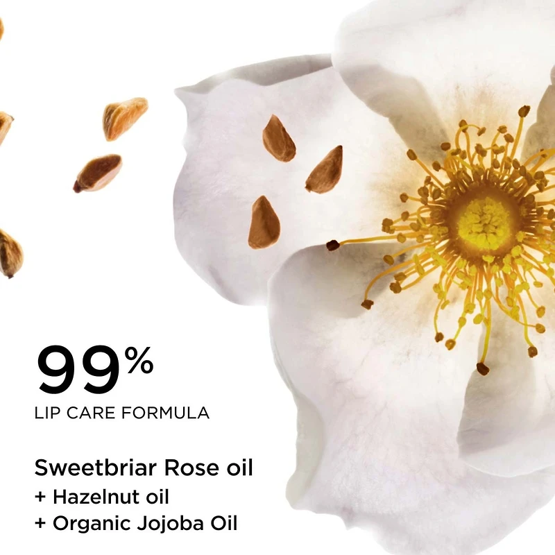 Lip Oil Balm - Embrace Love Collection