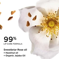 Lip Oil Balm - Embrace Love Collection