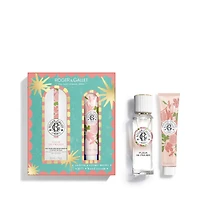 FLEUR DE FIGUIER Wellbeing Fragrant Water & Hand Cream Set