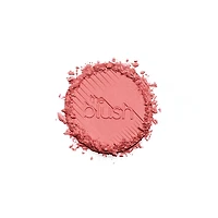 fard à joues the blush