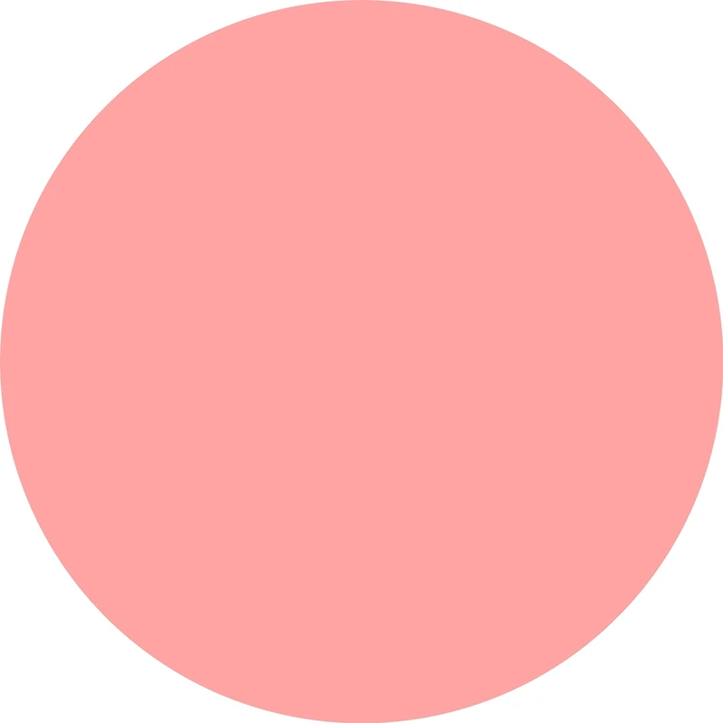 Pure Nude Baked Blush