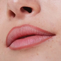 8H Matte Comfort Lipliner