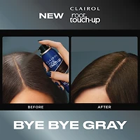 Root Touch-Up Temporary Spray 2in1: 100% gray coverage and volume boost