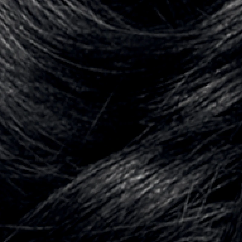 Root Touch-Up Temporary Spray 2in1: 100% gray coverage and volume boost