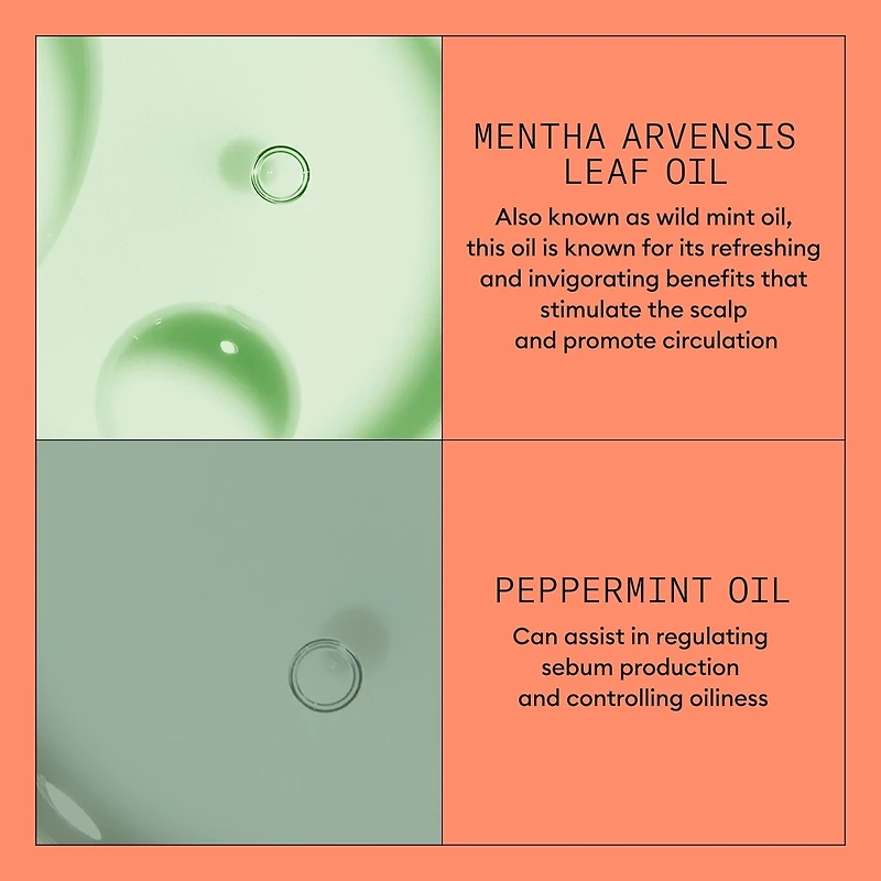 Conditionneur Scalp Therapy Systèm Nioxin