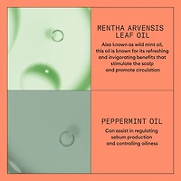 Conditionneur Scalp Therapy Systèm Nioxin