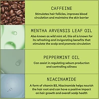Soin épaississant pour le cuir chevelu et les cheveux Système 2 de Nioxin - Sérum pour cheveux naturels et très clairsemés, 100 mL