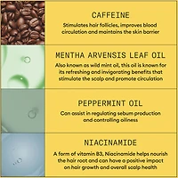 Soin épaississant pour cuir chevelu et cheveux Système 1 de Nioxin - Soin épaississant pour cheveux naturels légèrement clairsemés - Comprend un shampooing mL