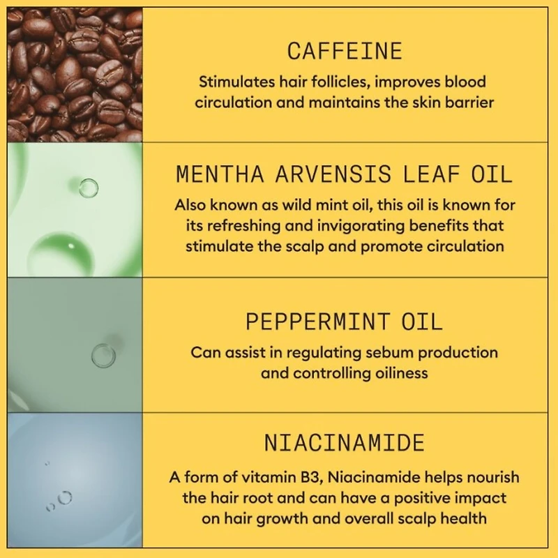 Soin épaississant pour cuir chevelu et cheveux Système 1 de Nioxin - Soin épaississant pour cheveux naturels légèrement clairsemés - Comprend un shampooing mL