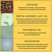 Soin épaississant pour cuir chevelu et cheveux Système 1 de Nioxin - Soin épaississant pour cheveux naturels légèrement clairsemés - Comprend un shampooing mL