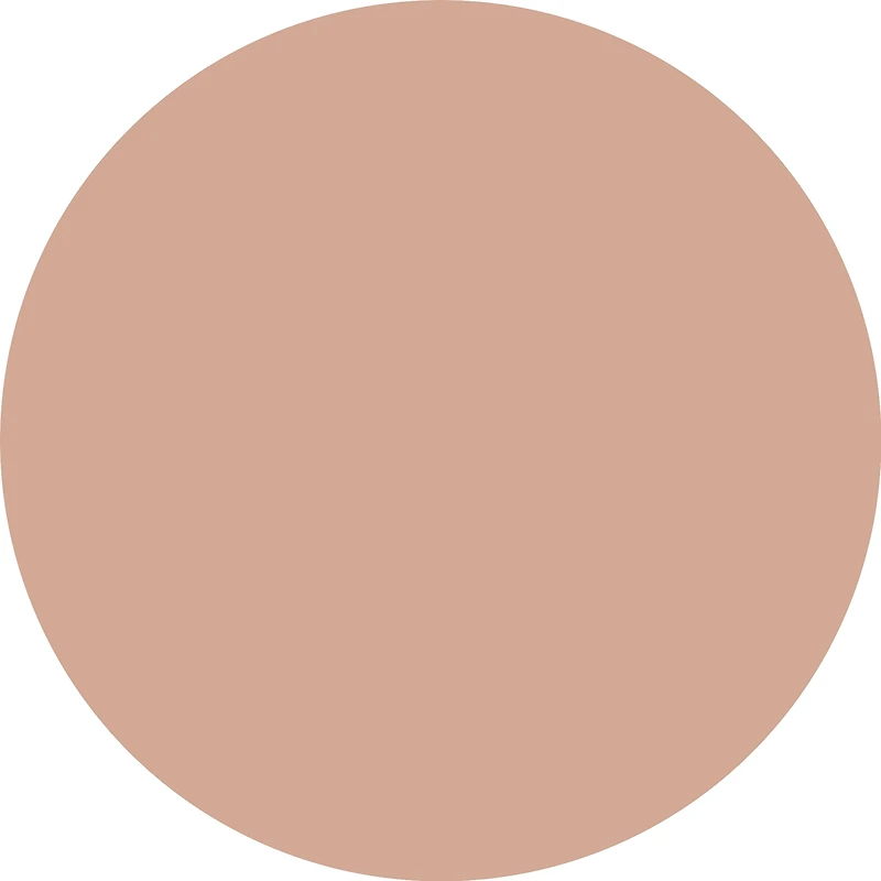 pure NUDE highlighter 10