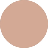 pure NUDE highlighter 10