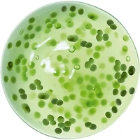 Concentré méta Crema Nera Reviscentalis