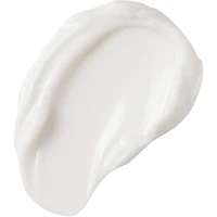 Protect & Perfect Fragrance Free Night Cream