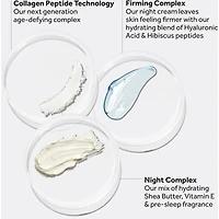 Restore & Renew Crème De Nuit Sans Parfum