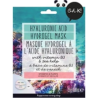 Hyaluronic Hydrogel Mask