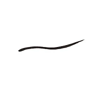 Eyeliner Renaissance Flick