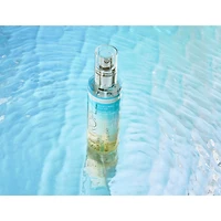 Self Tan Purity Bronzing Water Mist