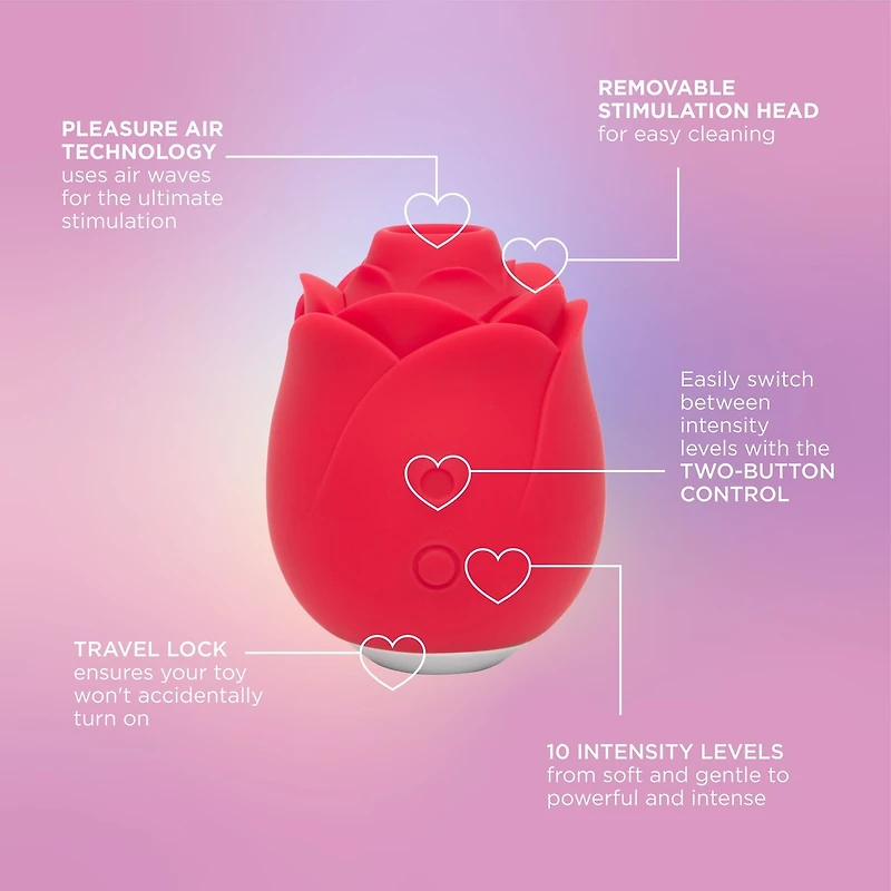 Mon ami Pleasure Air Rose