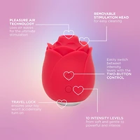 Mon ami Pleasure Air Rose