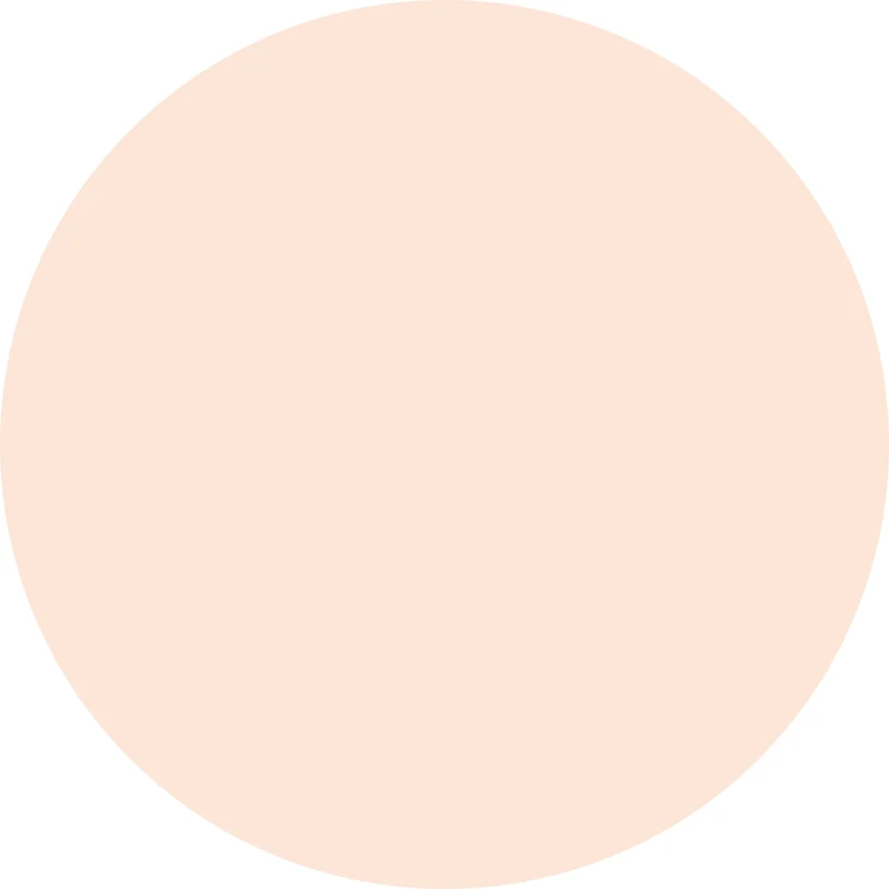 Boi-ing Cakeless Concealer