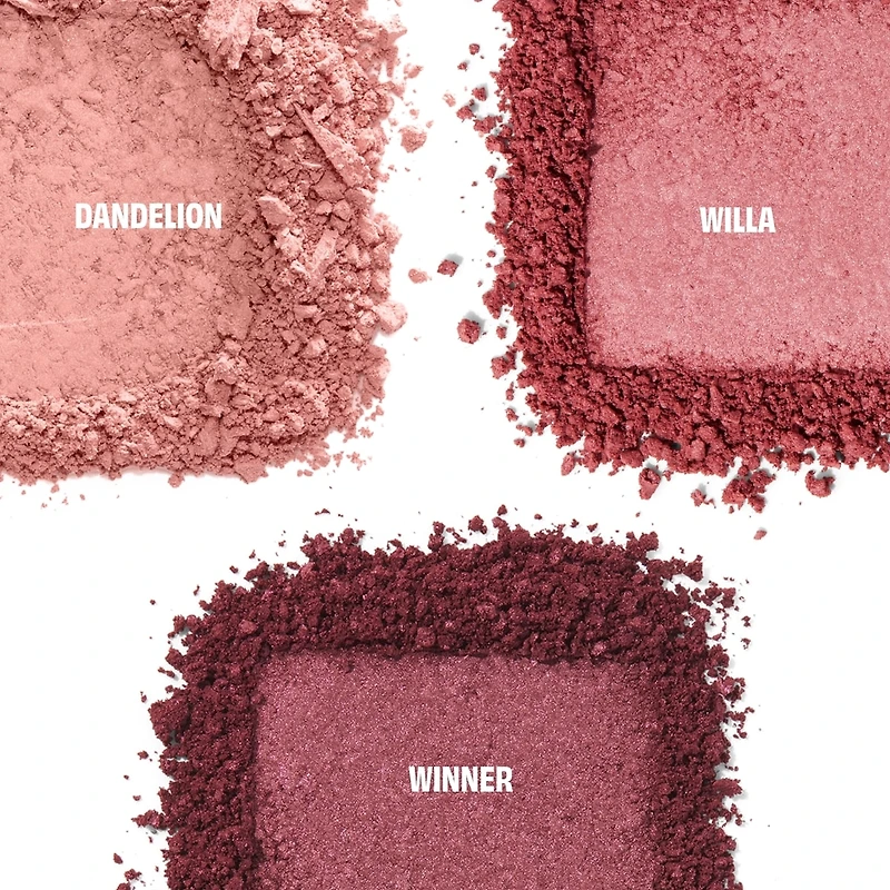 Cheek Score mini blush palette