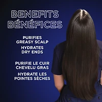 Magnetic Charcoal Shampooing Purifiant pour Cuir Chevelu Gras Hydrate les Pointes Sèches jusqu'à 48H, avec Charbon Actif et Huile de Fleur de Nigelle